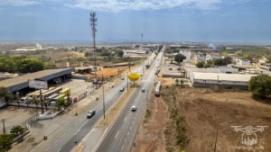 2025 Ipe Florido 30082025 043