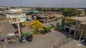 2025 Ipe Florido 30082025 105