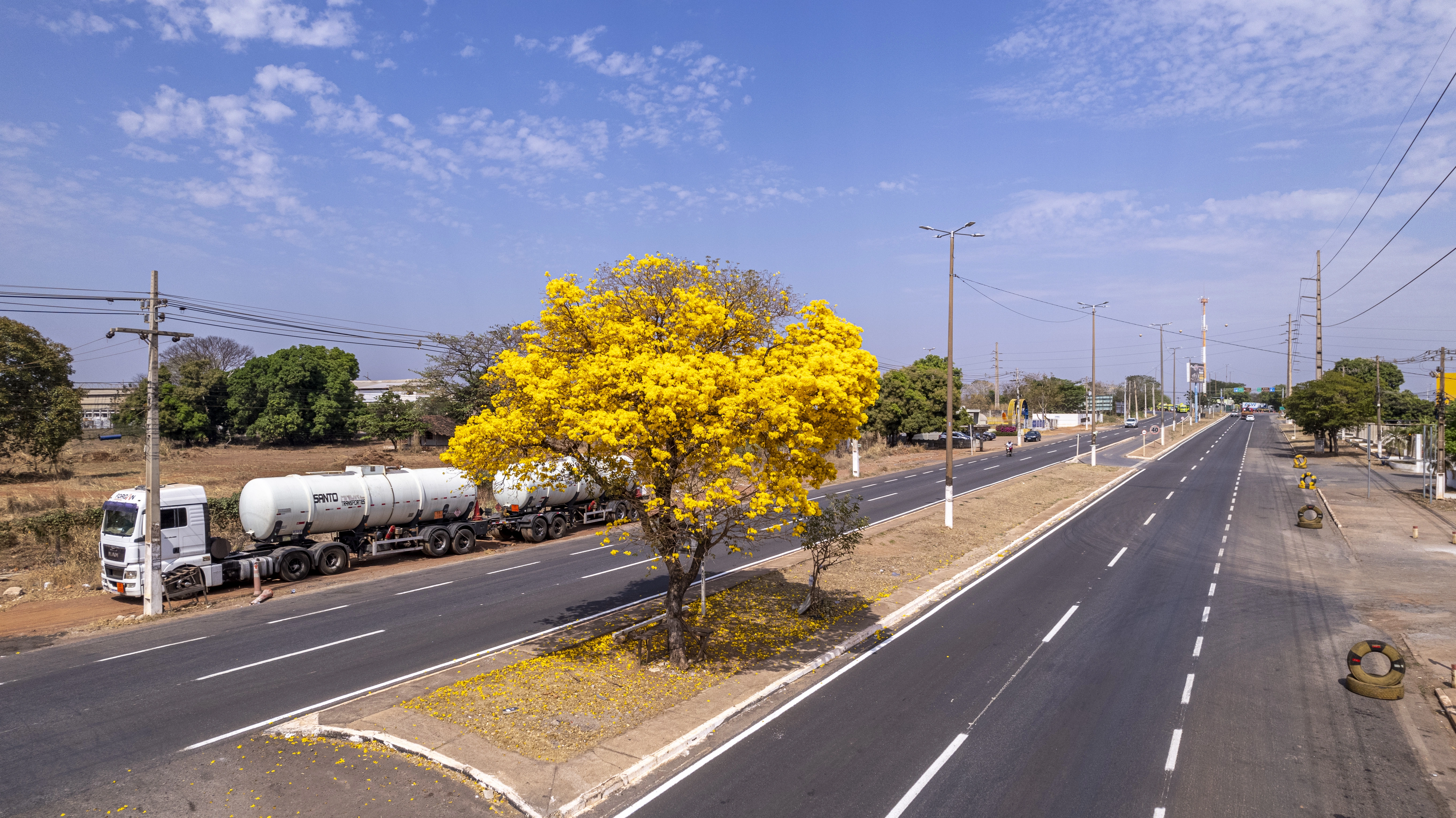 IPES floridos RAWDJI_0116-HDR2025